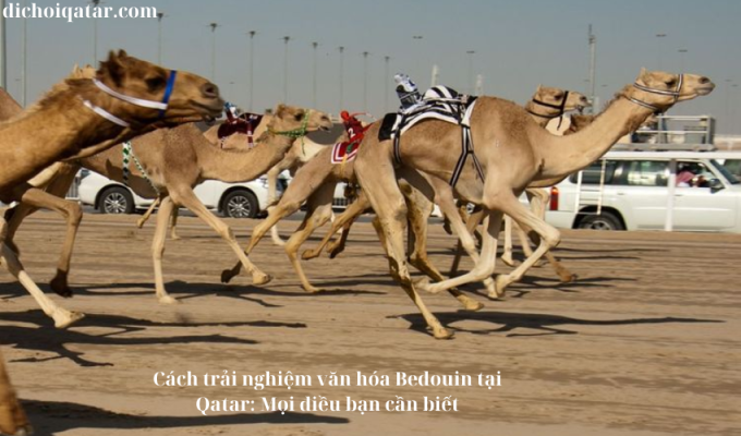 Read more about the article Cách trải nghiệm văn hóa Bedouin tại Qatar: Mọi điều bạn cần biết